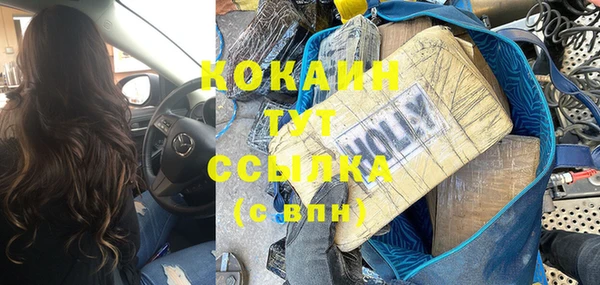 дурь Пересвет