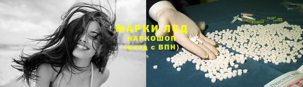 прущие грибы Верхний Тагил