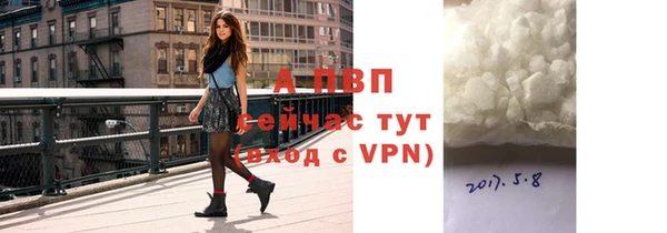 прущие грибы Верхний Тагил