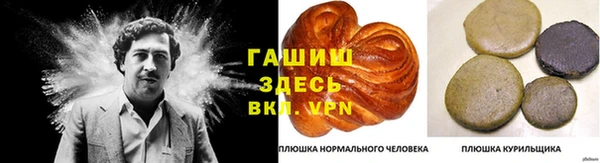 стаф Пестово