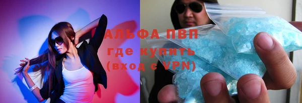прущие грибы Верхний Тагил