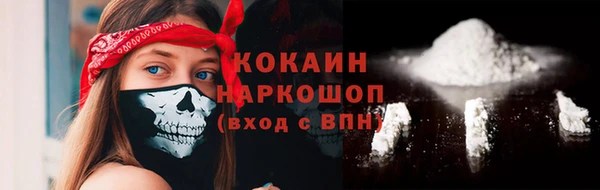 прущие грибы Верхний Тагил