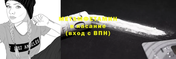 прущие грибы Верхний Тагил