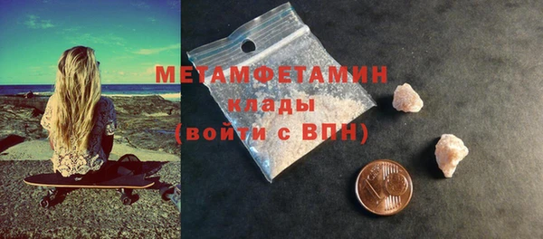 прущие грибы Верхний Тагил