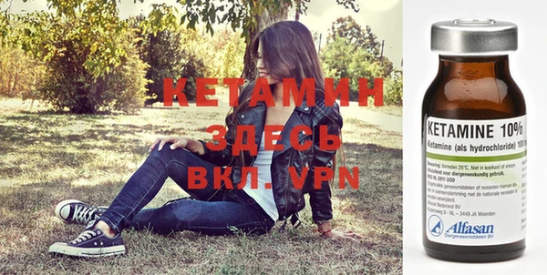 прущие грибы Верхний Тагил