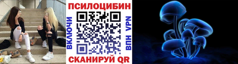 Галлюциногенные грибы Psilocybe  Котовск 