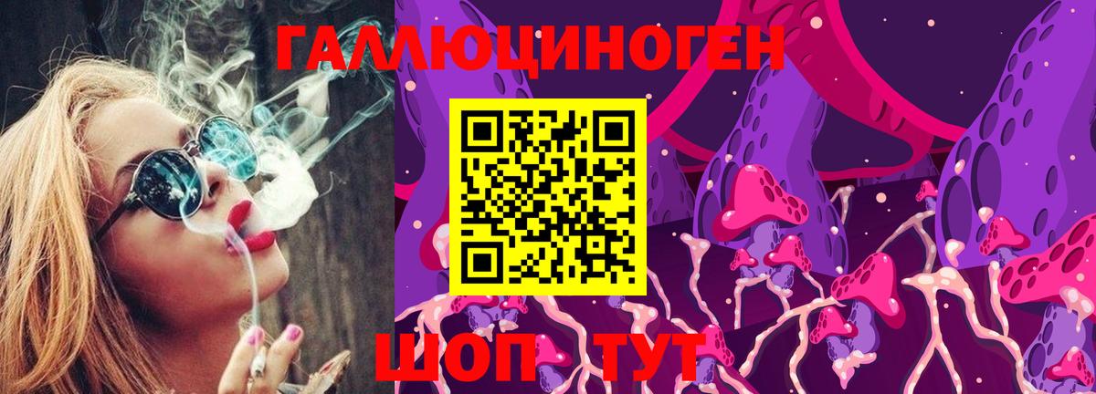 Псилоцибиновые грибы Psilocybe Котовск