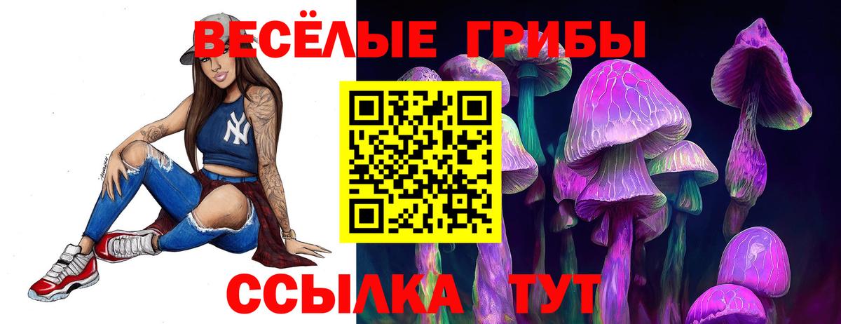 Псилоцибиновые грибы Magic Shrooms Котовск